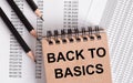The words BACK TO BASICS is written on the brown notebook. Nearby pencils Royalty Free Stock Photo