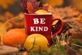 Words Be kind written on red mug