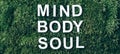 Words Body, mind, spirit and soul on moss, green grass background. Top view. Copy space. Banner. Biophilia concept Royalty Free Stock Photo