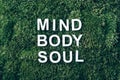 Words Body, mind, spirit and soul on moss, green grass background. Top view. Copy space. Banner. Biophilia concept Royalty Free Stock Photo