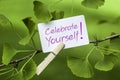 Celebrate Yourself!