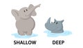 Words deep and shallow flashcard with cartoon animal characters. Opposite adjectives explanation card. Flat vector