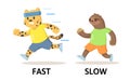 Words fast and slow flashcard with cartoon animal characters. Opposite adjectives explanation card. Flat vector