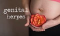 Words GENITAL HERPES. Young pregnant between 30 and 35 years old woman keeps rose blossom close to her belly in the background