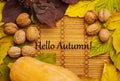 Words hello autumn on rustic background Royalty Free Stock Photo