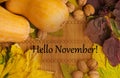 Words hello november on rustic background Royalty Free Stock Photo