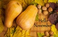 Words hello november on rustic background Royalty Free Stock Photo