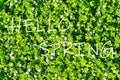 The words hello spring on the background of green leaves and flowers pattern. Springtime card. The concept of the Royalty Free Stock Photo