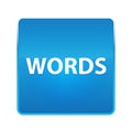 Words shiny blue square button Royalty Free Stock Photo