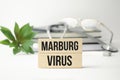 The words Marburg virus on the wooden cubes