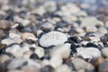 Words on pebble stones Ã¢â¬â motivational concept slogan Ã¢â¬â word sea