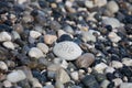 Words on pebble stones Ã¢â¬â motivational concept slogan Ã¢â¬â word sea
