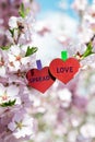 spread love word love theme pinned almond blossom