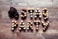 Words STAG PARTY made from corks Royalty Free Stock Photo