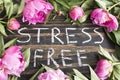 Words Stress Free with Pink Peonies