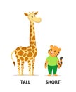 Words tall and short flashcard with cartoon animal characters. Opposite adjectives explanation card. Flat vector Royalty Free Stock Photo