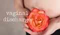 Words VAGINAL DISCHARGE. Young pregnant woman keeps natural rose blossom close to her belly Royalty Free Stock Photo