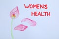 Words Women`s Health and drawing of tulip flower on white background, top view