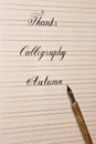 Words are written with a wooden ink pen on a white paper sheet with stripes drawn. stationery close up top view. spelling lessons Royalty Free Stock Photo