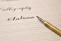 Words are written with a wooden ink pen on a white paper sheet with stripes drawn. stationery close up top view. spelling lessons Royalty Free Stock Photo