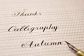 Words are written with a wooden ink pen on a white paper sheet with stripes drawn. stationery close up top view. spelling lessons Royalty Free Stock Photo