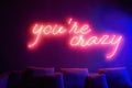 Words You're Crazy in neon lights on the wall