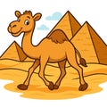 a camel traversing the desert Royalty Free Stock Photo