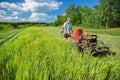 Work on an agricultural farm Royalty Free Stock Photo