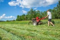 Work on an agricultural farm Royalty Free Stock Photo