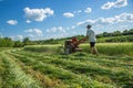 Work on an agricultural farm Royalty Free Stock Photo