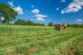 Work on an agricultural farm Royalty Free Stock Photo