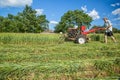 Work on an agricultural farm Royalty Free Stock Photo