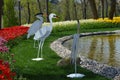 Work of art, two storks made of colored tree