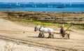 Work on beach Royalty Free Stock Photo