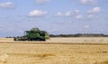 The work of the combine in the field of ripened wheat. Harvesting grain crops.