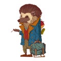 After a work day, vector illustration. Tired smoking anthropomorphic hedgehog in casual outfit, holding a bag