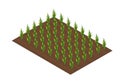 Work in field isometric