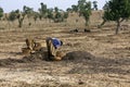 Work in the fields - Mali