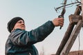 Work in the garden, autumn pruning of grape branches, a woman prunes the extra shoots of grapes Royalty Free Stock Photo