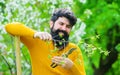 Work in garden. Bearded man with gardening scissors. Gardener trimming plants. Spring. Pruning tree. Royalty Free Stock Photo