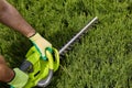 Work in the garden. The gardener is cutting plants. Hedge trimmer works. Hedge trimmer in action. Home and garden concept. Work