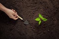 Work in the garden and greenhouse concept, a hand with small gardening tools plants seeds in the ground, top view