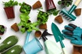 Work in the garden. Top view of tools and potted plants flowers on the table Royalty Free Stock Photo