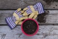 Work Gloves and Garden Pot - 5816