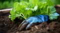 Work gloves nestled in fertile soil