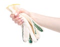 Work gloves protection in hand Royalty Free Stock Photo