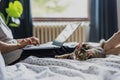 Young woman with cute gray kitten working on a project using laptop in bed at home