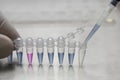 Work with laboratory test tubes Royalty Free Stock Photo