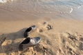 Work Life Balance Concept, Businessman take off his Working Shoes and leave it on the Sand Beach for Walk into the Sea Royalty Free Stock Photo