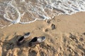 Work Life Balance Concept, Businessman take off his Working Shoes and leave it on the Sand Beach for Walk into the Sea on Sunny Royalty Free Stock Photo